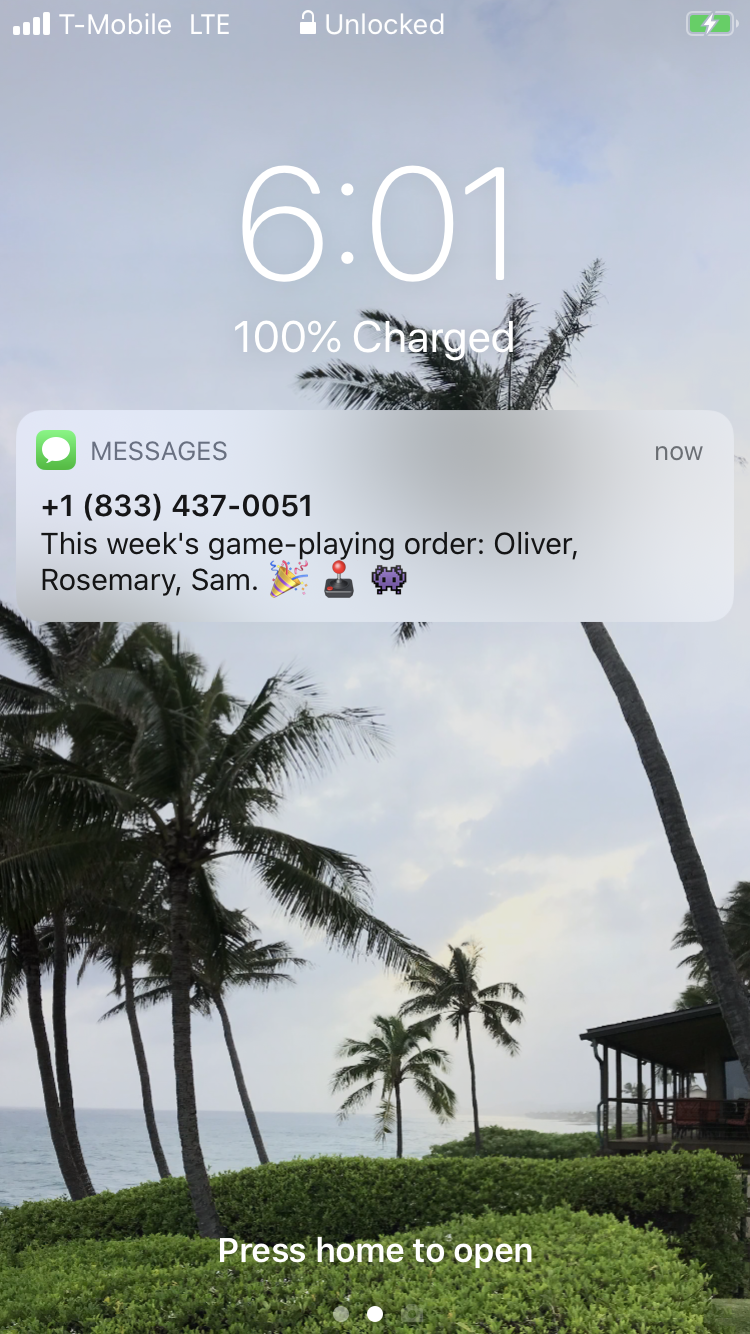 Figure 2.4: The SMS notification, delivered to your phone by AWS.